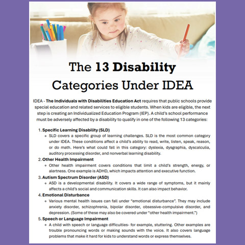The 13 Disability Categories Under IDEA